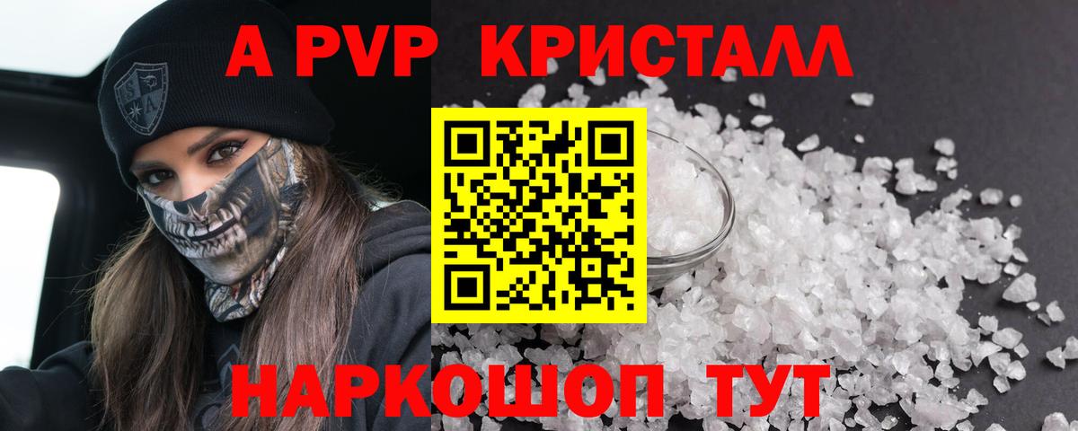 A PVP СК КРИС Казань