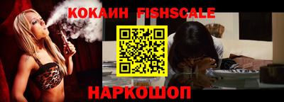 мдпв Бийск