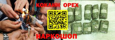 мдпв Бийск