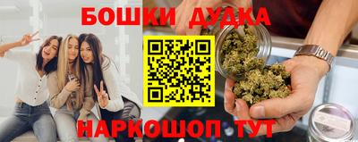 мдпв Бийск