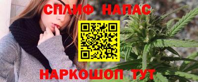 мяу мяу мука Беслан