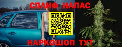 мдпв Бийск